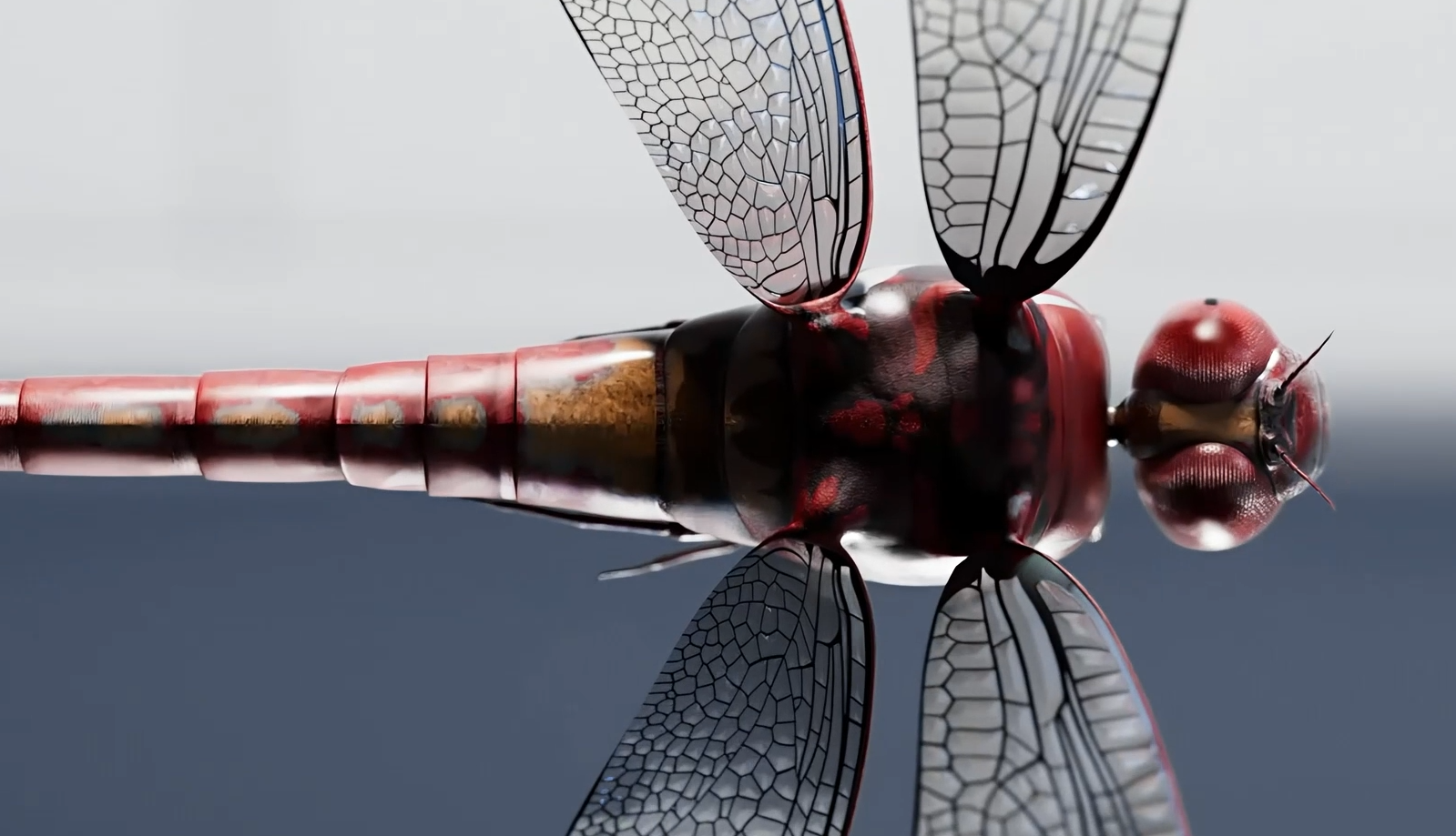 Leibinger Dragonfly animacija