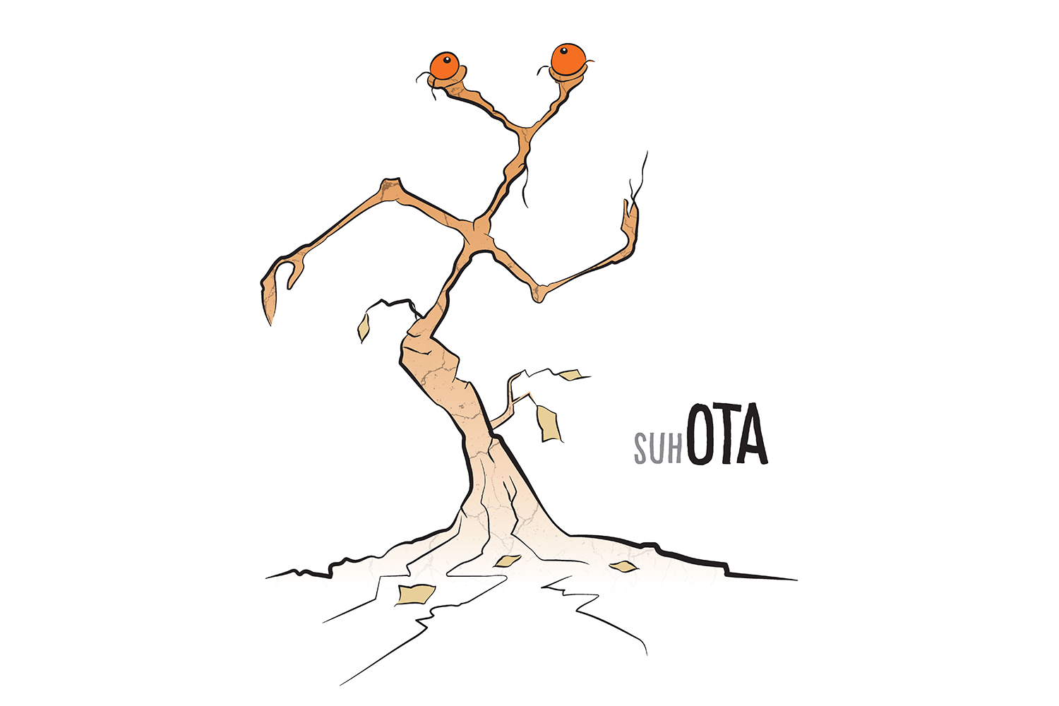 suhOTA